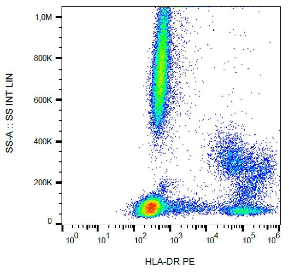 HLA-DR Antibody (clone MEM-12, PE)