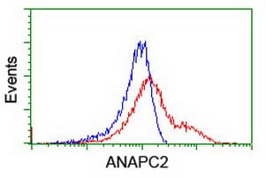 ANAPC2 / APC2 Antibody (clone OTI2A1)
