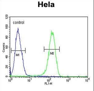 ADCY4 / Adenylate Cyclase 4 Antibody (aa415-441)
