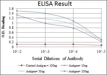 EIF4E Antibody (clone 5D11)