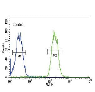 ABCC3 / MRP3 Antibody (aa899-925)