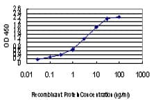 Monoclonal Mouse anti-Human CDK8 Antibody (clone 6H5, WB)
