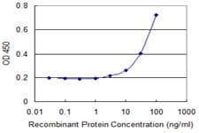 Monoclonal Mouse anti-Human KRT13 / CK13 / Cytokeratin 13 Antibody (clone 4F5, WB)