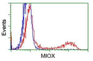 KSP32 / MIOX Antibody (clone OTI4G7, Carrier-free)