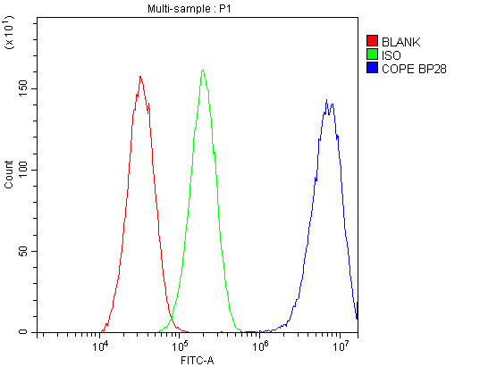 COPE Antibody