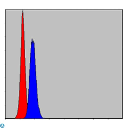 PHB / Prohibitin Antibody