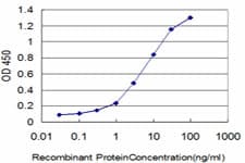 Monoclonal Mouse anti-Human FGR Antibody (clone 3F2, IHC, WB)