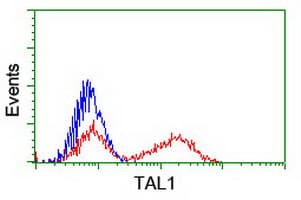 TAL1 Antibody (clone OTI4A6)