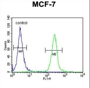 FAM20A Antibody (aa48-77)