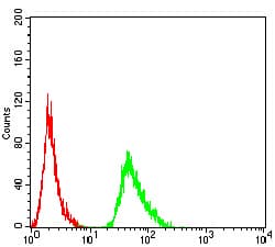 AMY1A / Salivary Amylase Antibody (clone 5G6F7)
