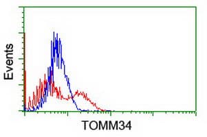 TOMM34 Antibody (clone OTI1B4)