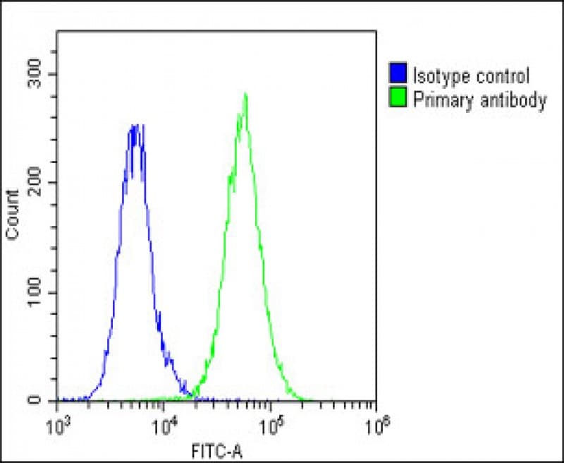 THBD / CD141 / Thrombomodulin Antibody (C-Terminus)