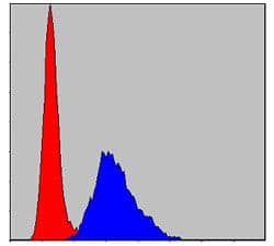 KIF22 / OBP Antibody (clone 1000)