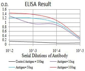 BAG1 / BAG-1 Antibody (clone 2F7A11)