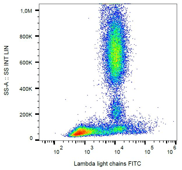 Mouse Anti-Human Lambda Light Chain Secondary Antibody (clone 4C2, FITC)