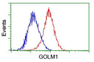 GOLM1 / GP73 / GOLPH2 Antibody (clone OTI4B12)