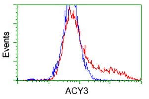 ACY3 Antibody (clone OTI2H8, Carrier-free)