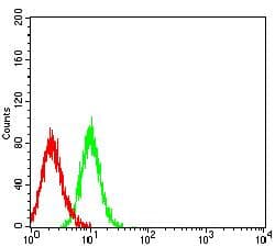 SIRPG Antibody (clone 7H3A2)