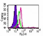 TLR6 Antibody (aa408-424, clone 86B1153.2, PE)
