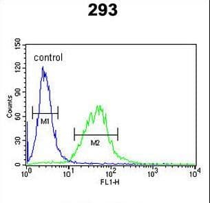 BCOR Antibody (aa1107-1137)
