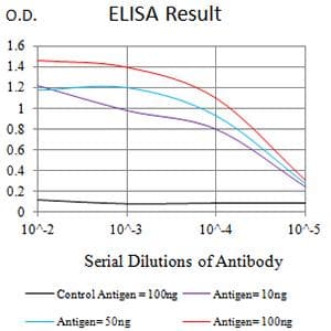Monoclonal Mouse anti-Human LRP3 Antibody (clone 7B3A5E9, WB)