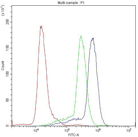 Polyclonal Rabbit anti-Human CCND3 / Cyclin D3 Antibody (aa136-292, WB)