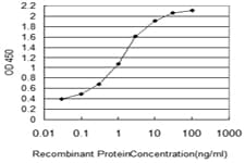 NUP133 Antibody (clone 3E8)