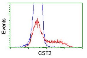Cystatin SA / CST2 Antibody (clone OTI5C2)