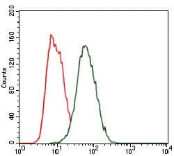 HEXA Antibody (clone 3F10)