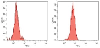 HMOX1 / HO-1 Antibody (clone HO-1-2)