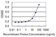 PA2G4 / EBP1 Antibody (clone 2A5)