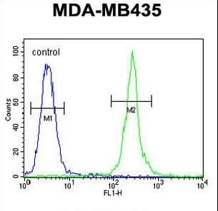 MRM1 Antibody (aa80-109)