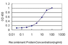 GNG7 Antibody (clone 1C11-1B3)