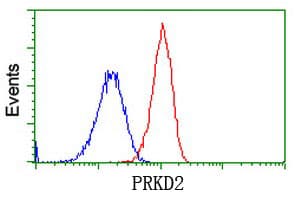 Monoclonal Mouse anti-Human PRKD2 / PKD2 Antibody (clone OTI3B12, IF, WB)