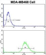SCFD1 / SLY1 Antibody (aa543-572)