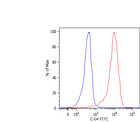 KRT18 / CK18 / Cytokeratin 18 Antibody (clone C-04, FITC)