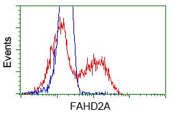 FAHD2A Antibody (clone OTI7C9)