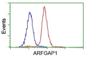 Monoclonal Mouse anti-Human ARFGAP1 Antibody (clone OTI1F6, IHC, IF, WB)