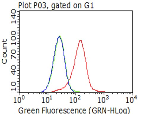 IGF1R / IGF1 Receptor Antibody (aa741-935, clone OTI11E4)