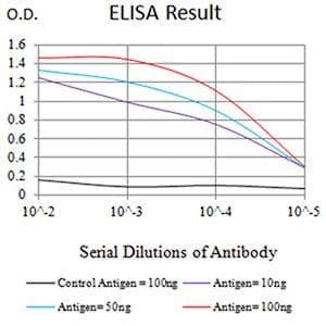 IDH2 Antibody (clone 3E8E9)