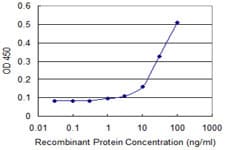RHOC Antibody (clone 2E12)