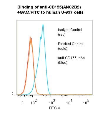 Monoclonal Mouse anti-Human PVR / CD155 Antibody (clone ANC2B2)
