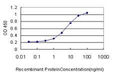 IHC-plus™ Monoclonal Mouse anti-Human RACGAP1 / MGCRACGAP Antibody (clone 1G6, IHC, WB)