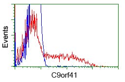 Monoclonal Mouse anti-Human C9orf41 Antibody (clone OTI4B7, IHC, IF, WB)