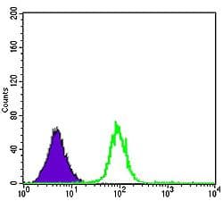 CDK5 Antibody (clone 4E4)