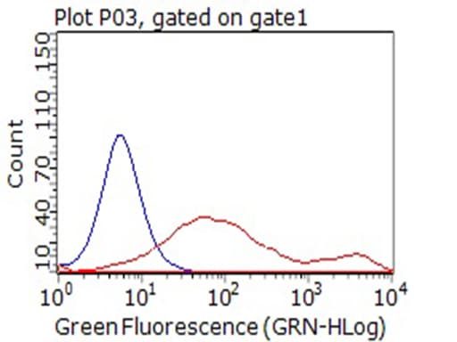 CD80 Antibody (clone OTI7D6)