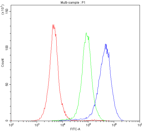 CYP1A1 Antibody (aa183-320)