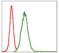 Monoclonal Mouse anti-Human MMP3 Antibody (clone 4F10, WB)
