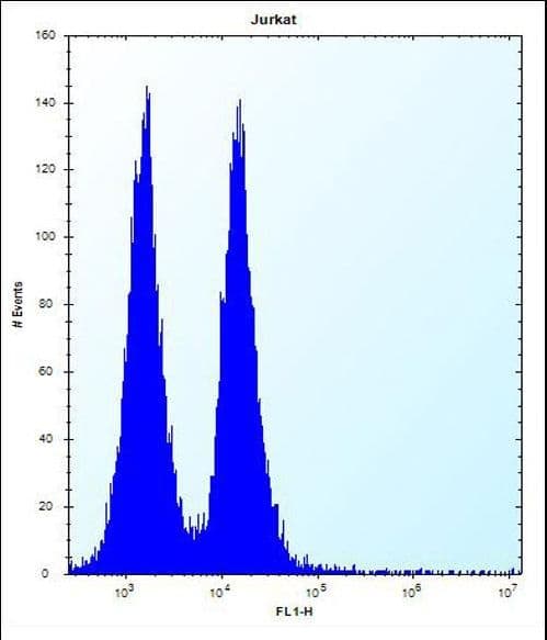 MAFB Antibody (aa266-292)