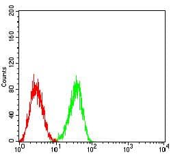 SLAMF8 Antibody (clone 6A4E2C4)